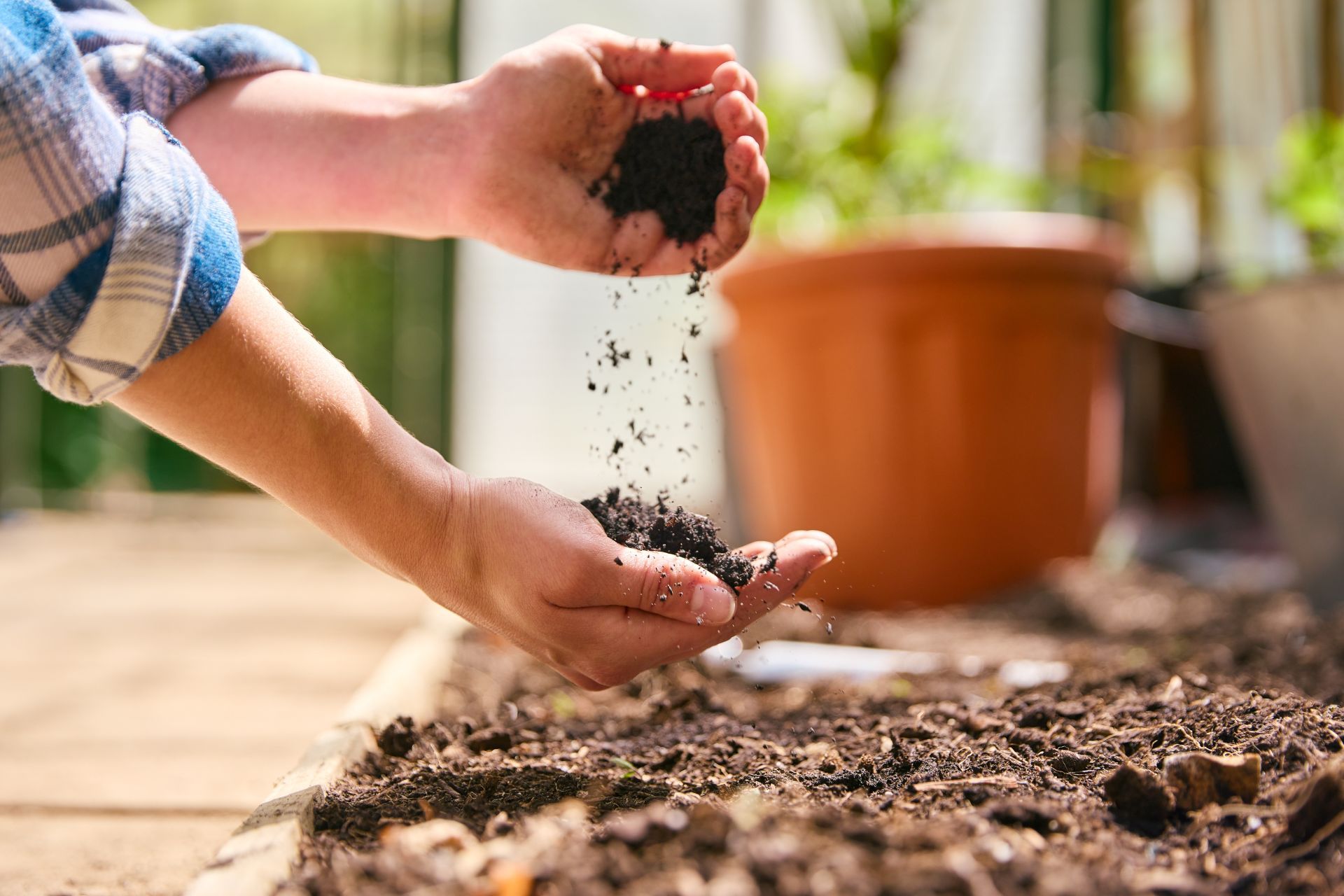 A person is holding a pile of dirt in their hands.