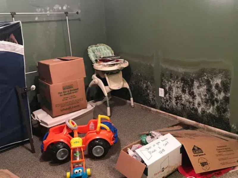 A room corner featuring a high chair, toy truck, and boxes near a wall with extensive, dark mold growth.