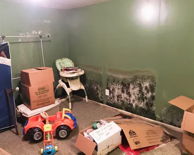 A room corner with significant black mold growth on the lower half of green walls, near children's toys and cardboard boxes.