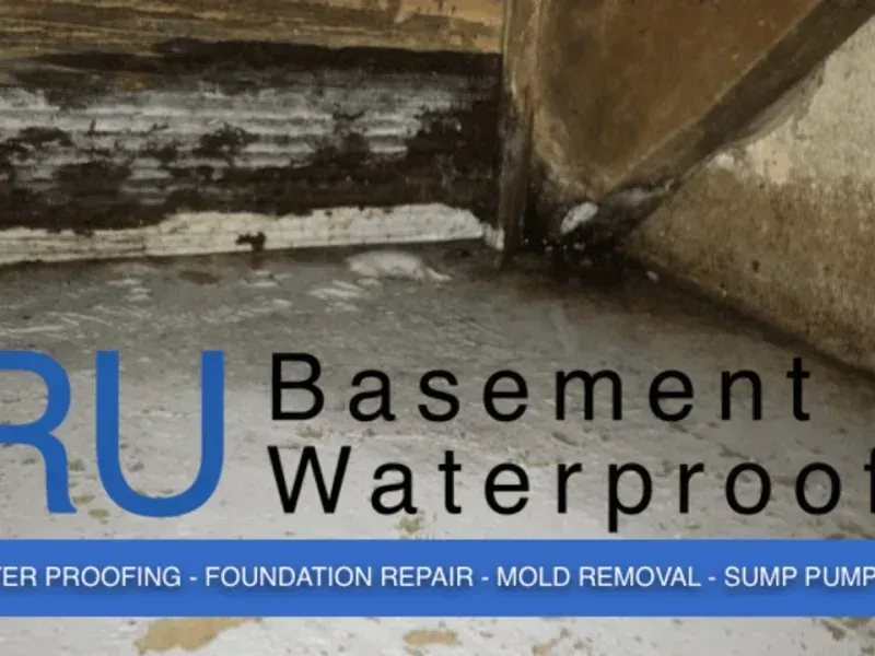 A damp, moldy basement corner with text overlay promoting waterproofing, foundation repair, and mold removal services.
