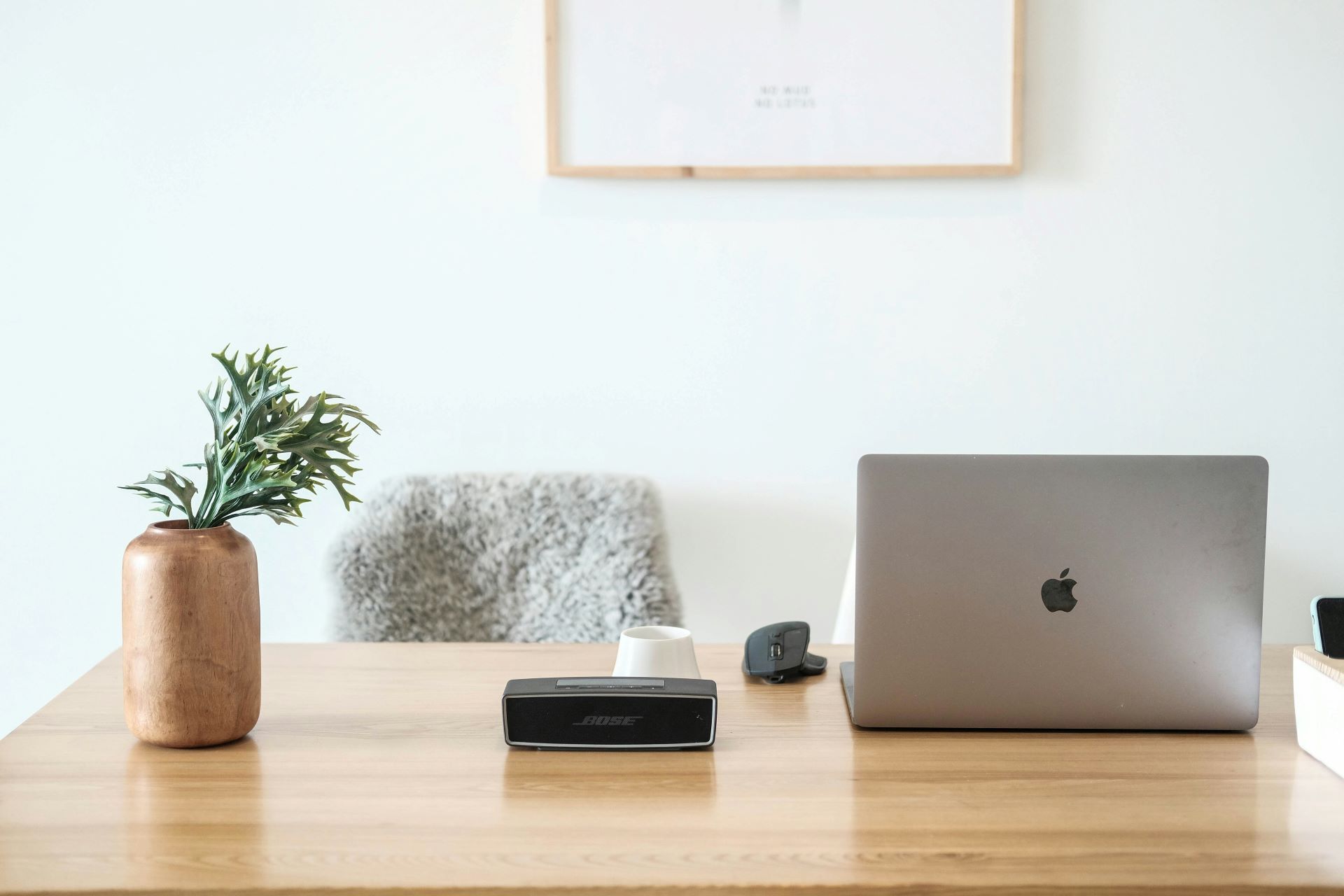 Minimal desk setup with laptop, mouse, plant, and wooden table in a bright room