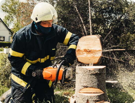 cutting down a tree in small pieces