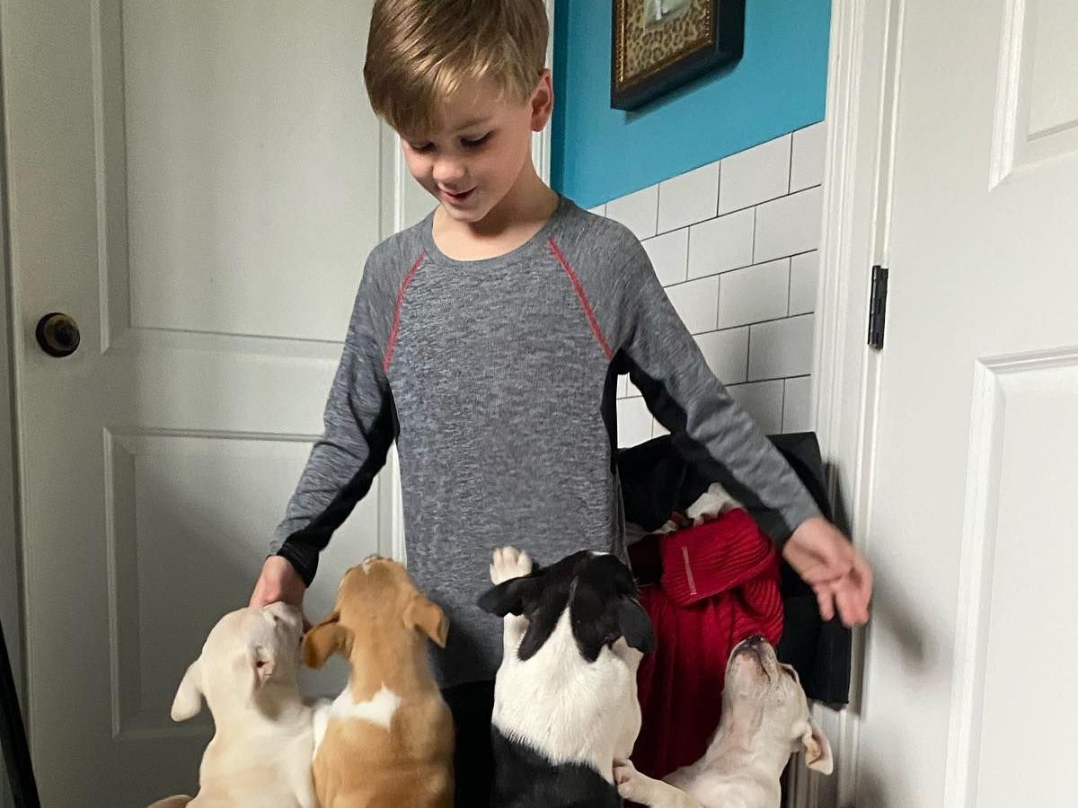 Foster a dog in Holly Springs MS