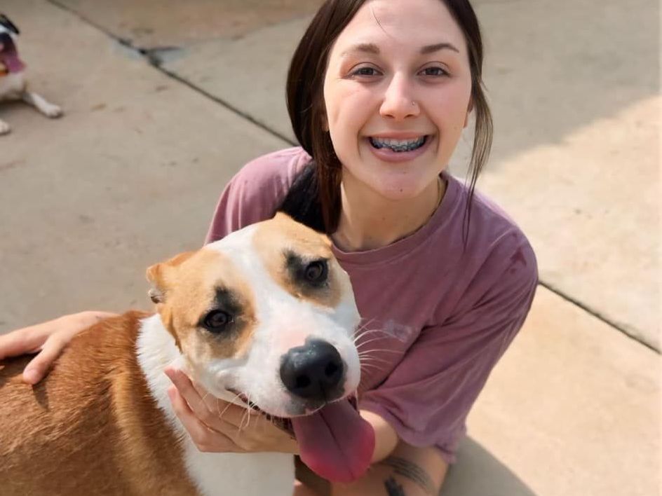 Volunteer for an animal shelter in Holly Springs, MS