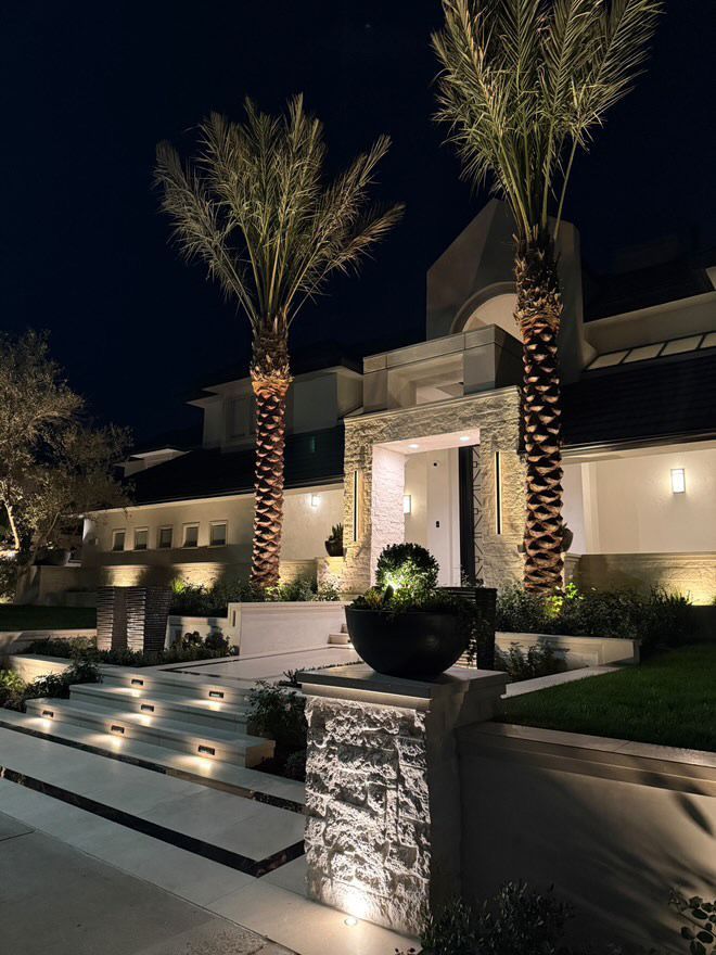 A house with palm trees in front of it at night