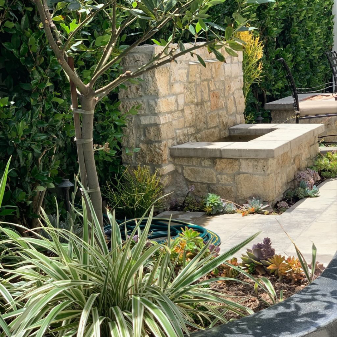 A garden with a stone wall and a tree in the middle of it.