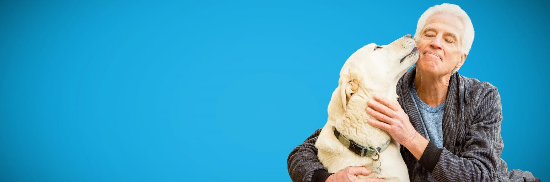 Older person hugging a fluffy white dog against a bright blue background