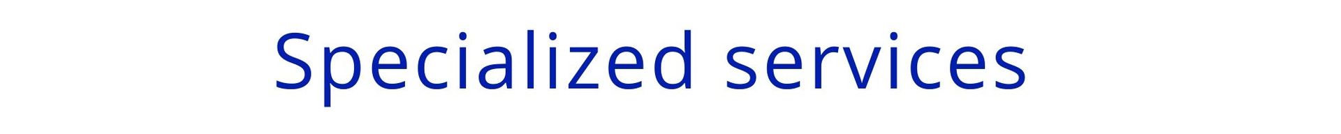 Blue “Specialized services” heading on a white background