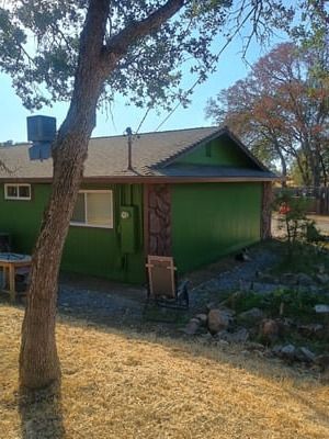 Green house exterior with a tree in the foreground and a small garden area.