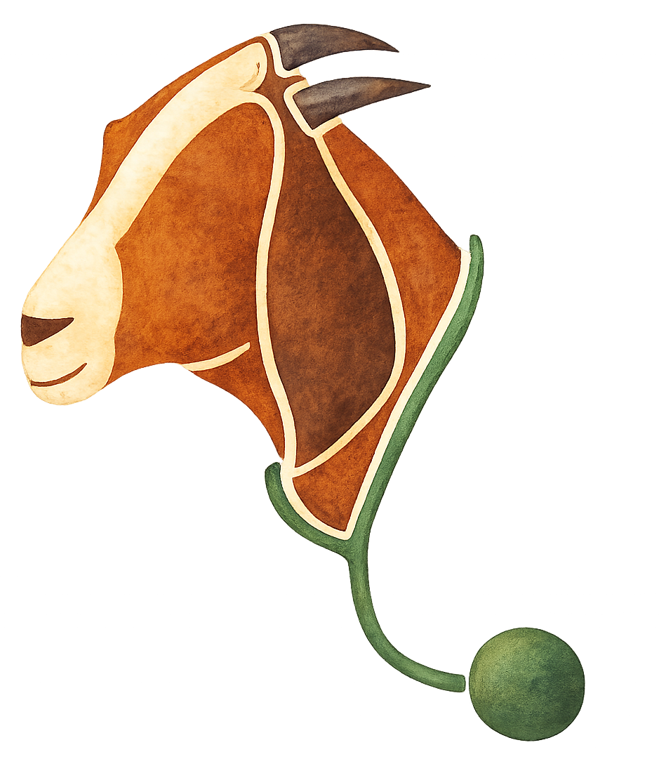 Logo getekende en ingekleurde geitenkop met hangoren in beide en bruin met groene stethoscoop om hals.