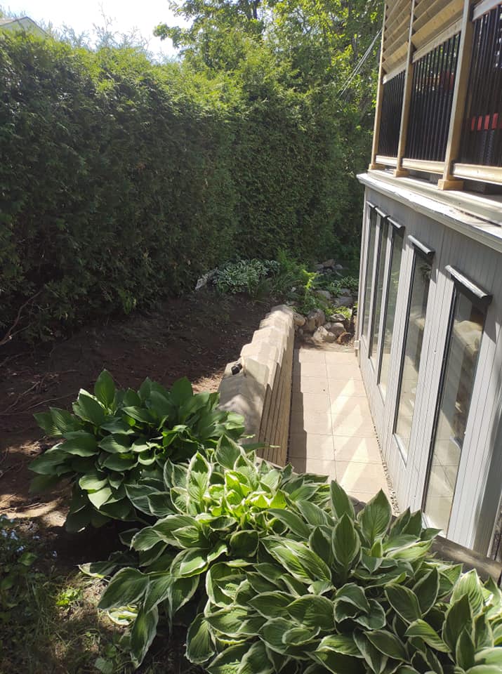 Haies taillées le long d'une terrasse avec des plantes ornementales au premier plan.