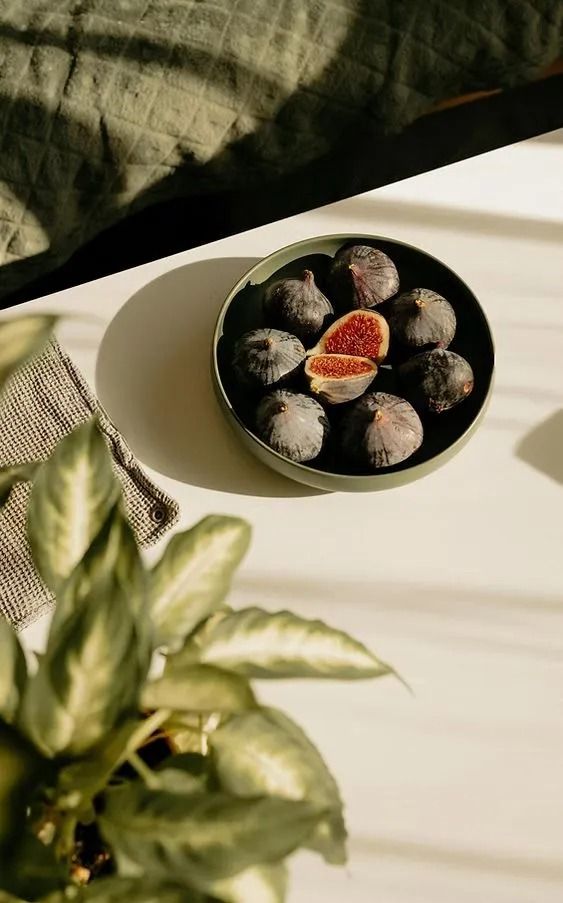 Bowl of sugar-dusted fruit pastries on a sunlit table beside a green plant
