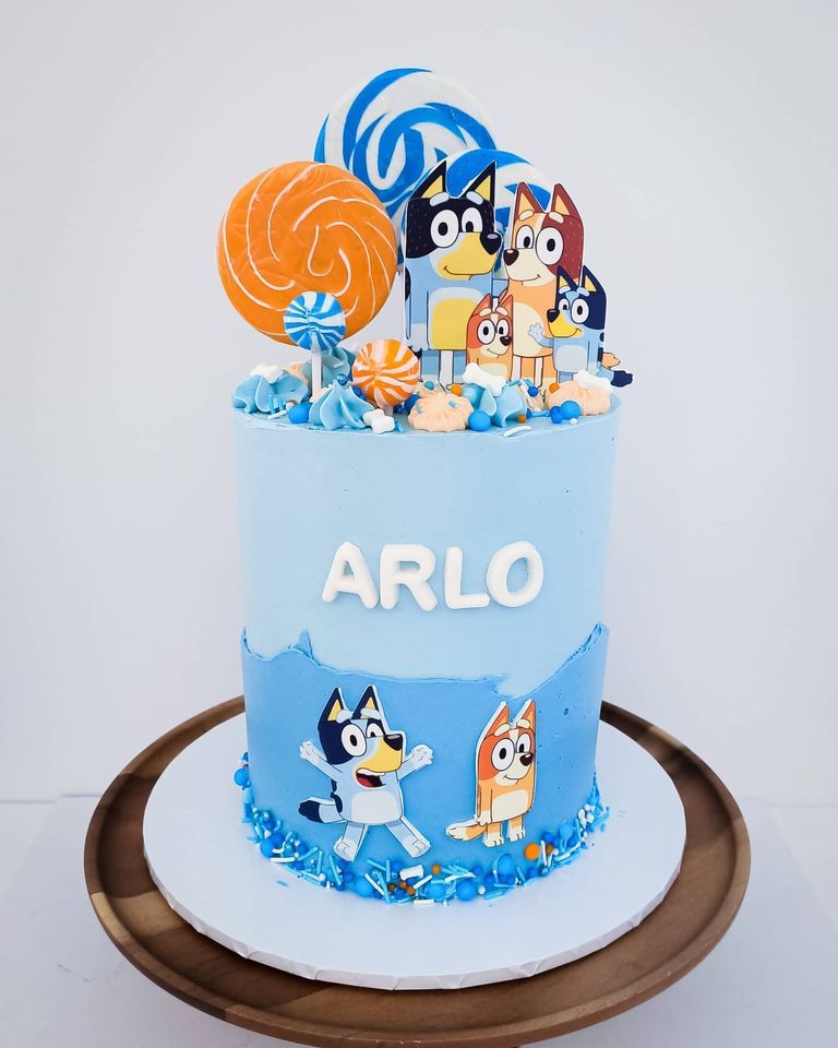 Bluey themed boys birthday cake  Gold Coast