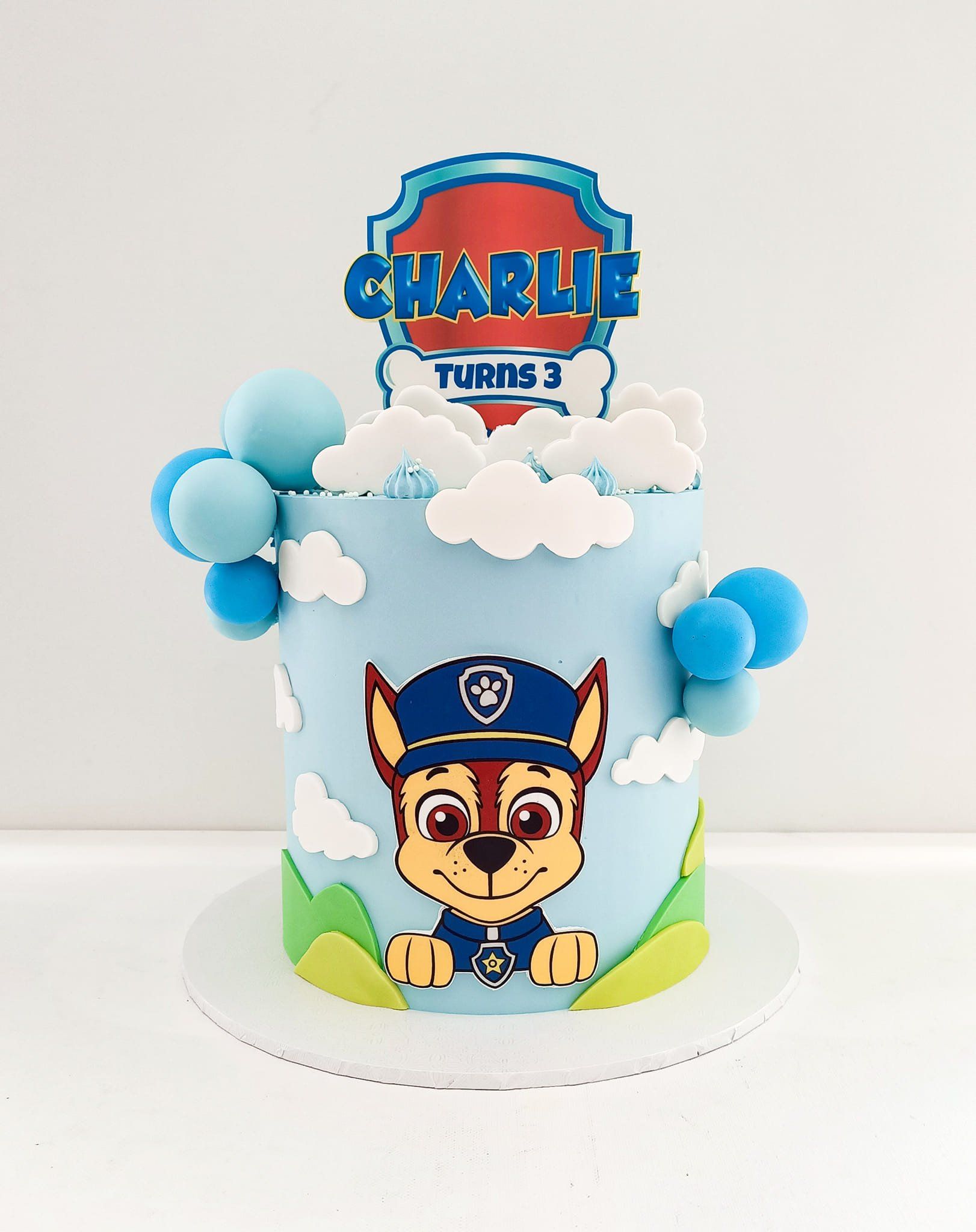 Chase Paw patrol themed kids birthday cake on the Gold Coast