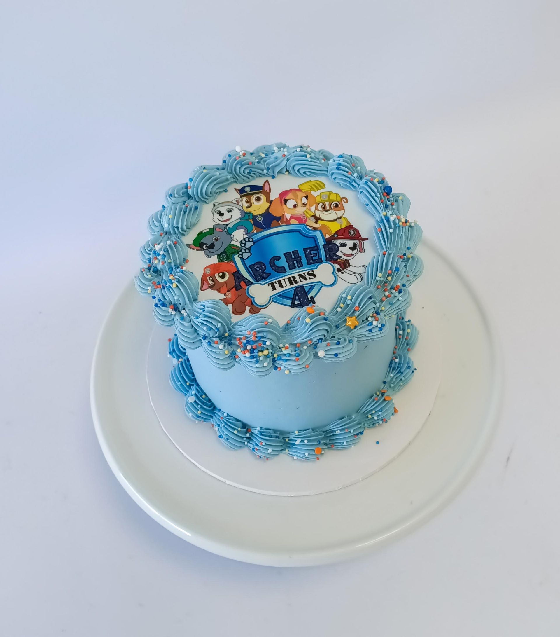 Paw Patrol retro buttercream cake with character images and vintage piping, buy online,  Gold Coast