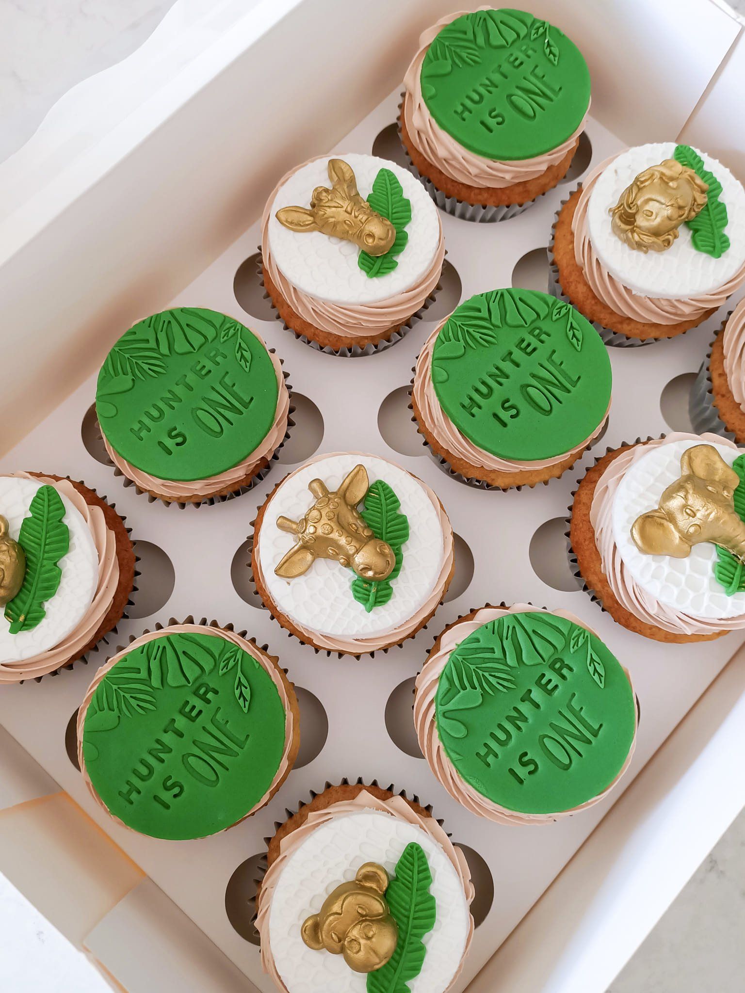 Wild One safari cupcakes for first birthday Gold Coast