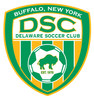DSC logo
