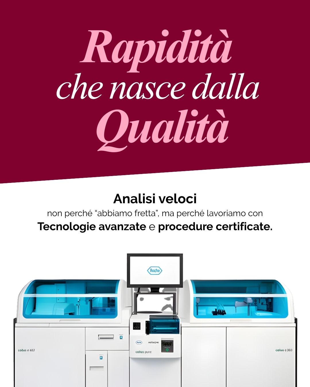 rapidità