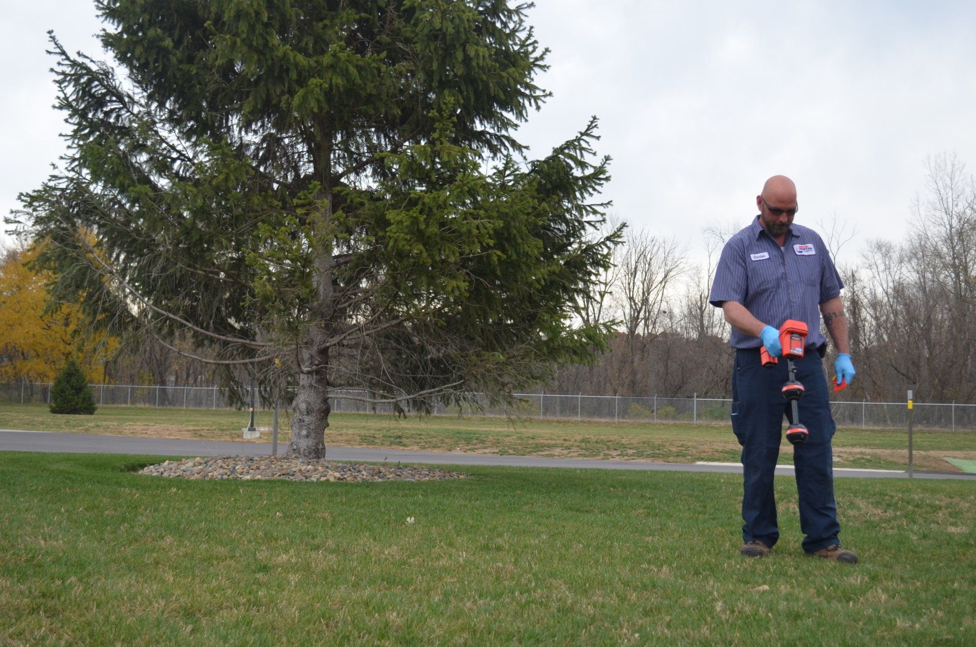 A man in a blue shirt is standing in a grassy field with a tree in the background.