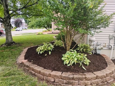 Curved garden bed with hostas and a tree, edged by stone blocks beside a sidewalk and house.