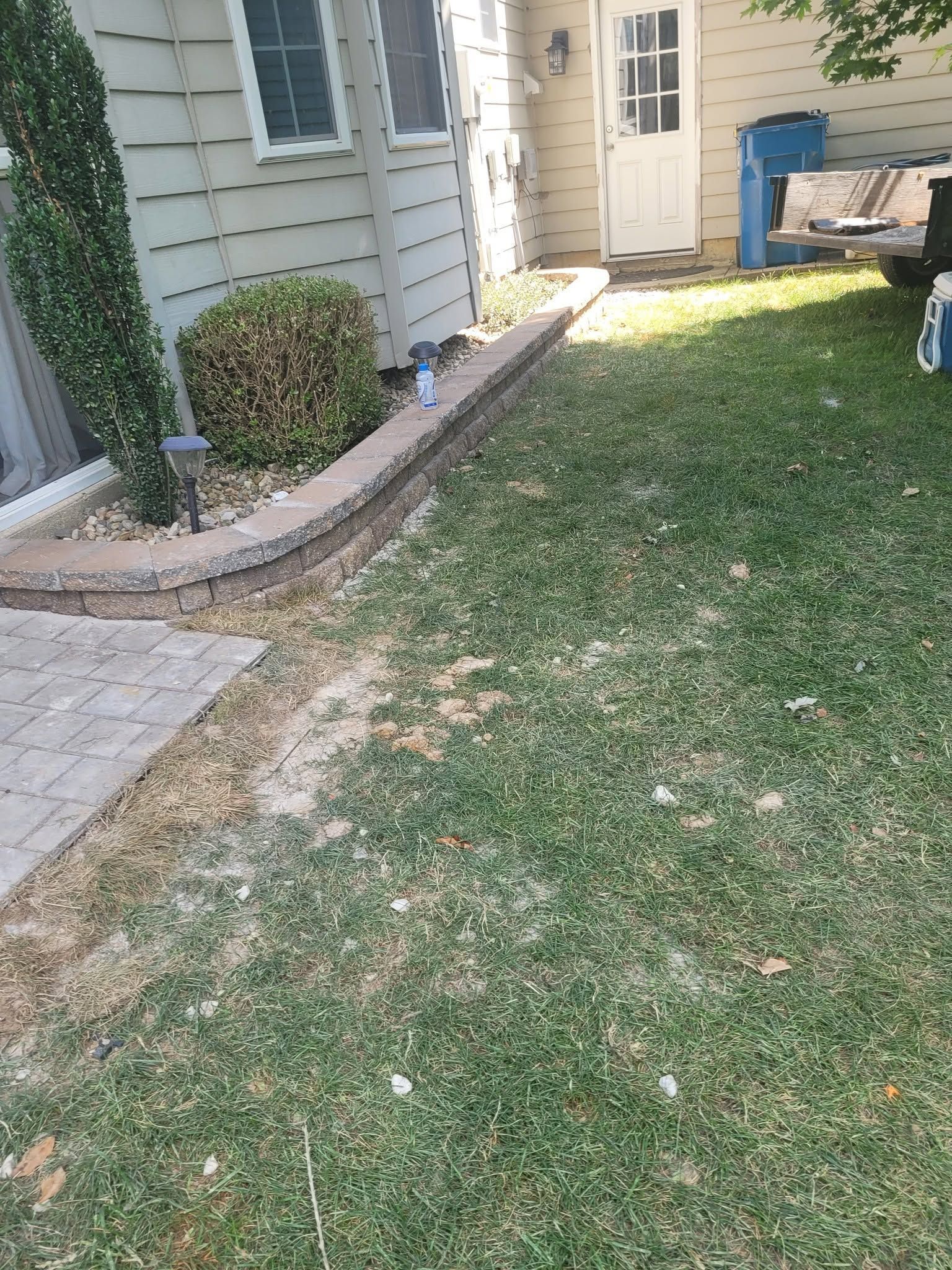 Narrow backyard with grass, house siding, stepping stones, shrubs, and a patio chair near a sunlit doorway