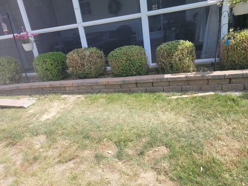 Shrubs lined in front of a building with large windows, beside a grassy lawn and stone border.