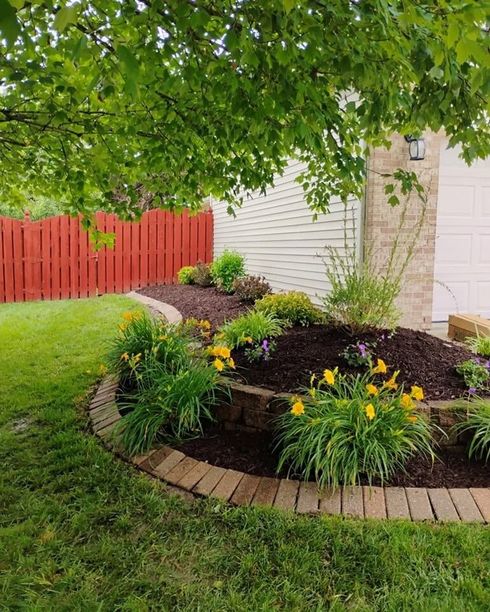 Curved flower bed with yellow flowers, green shrubs, red fence, and a white house under a leafy tree