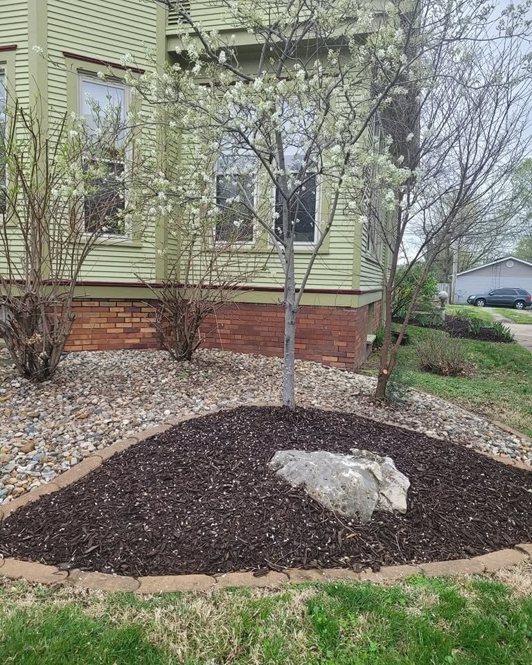 Front yard mulch bed with a young tree and large rock beside a house.