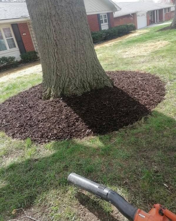 Mulched ring around a tree trunk in a yard, with a leaf blower visible in the foreground.