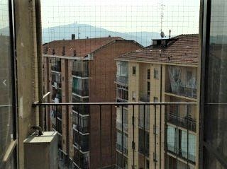 allontanamento volatili