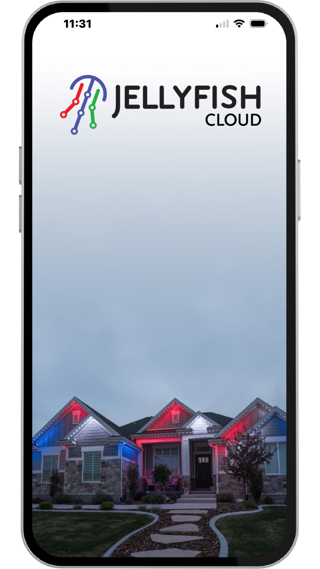 Accent Electric Inc JellyFish Lighting