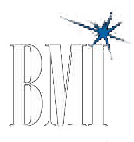 BMI logo with a stylized blue starburst above the letters 