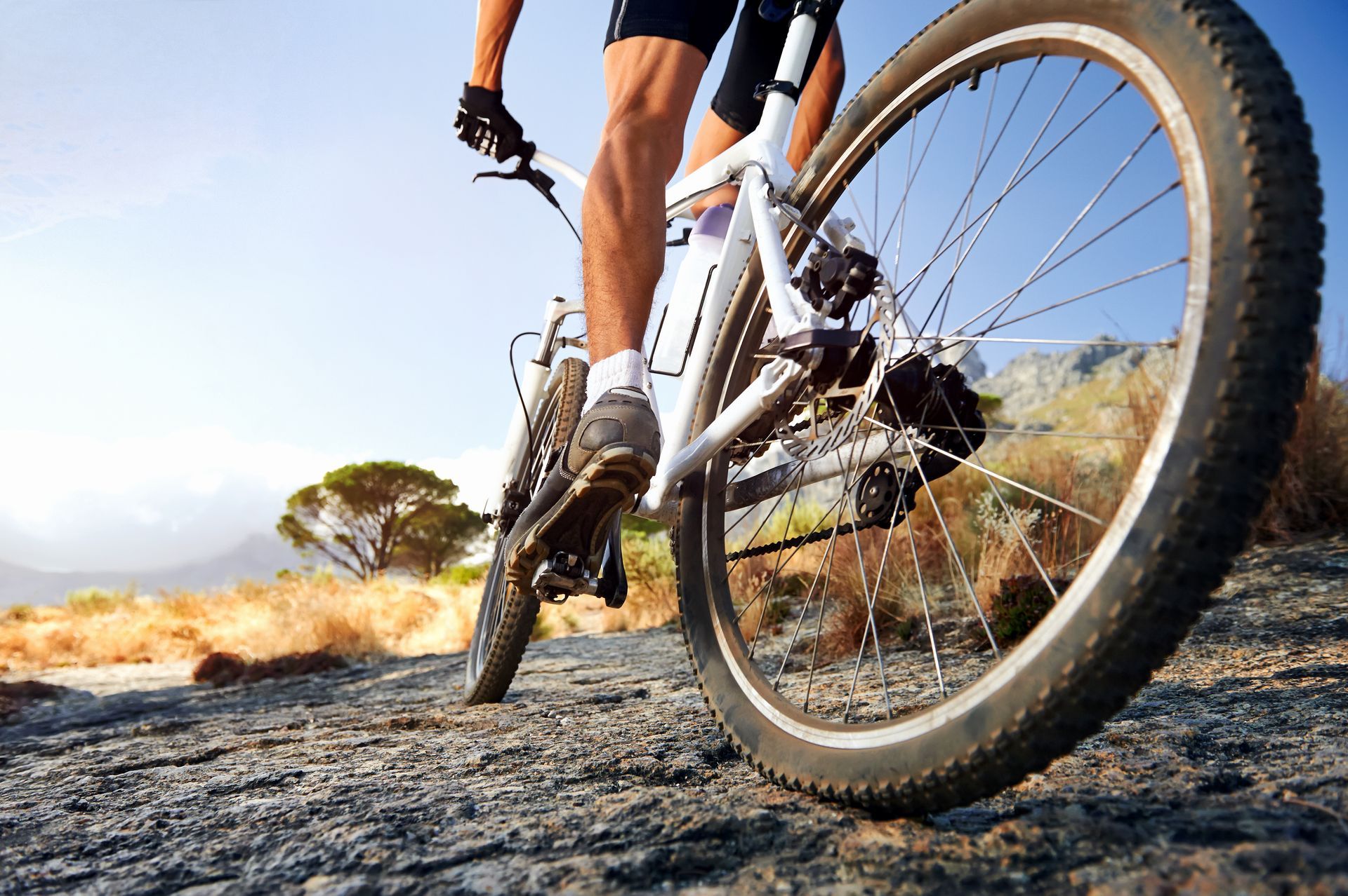 Low-angle view of a cyclist riding a mountain bike on a rocky trail at sunset