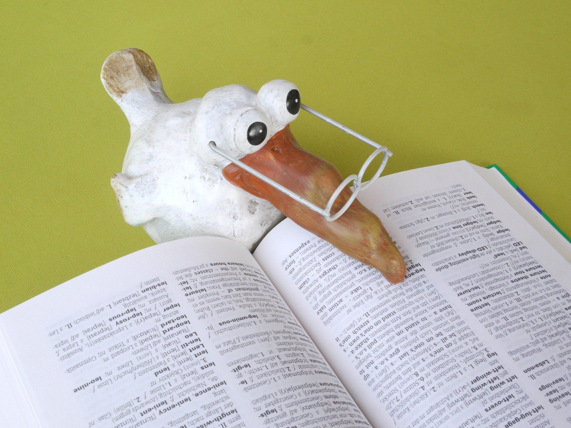 Een stenen beeldje van een witte vogel die een boek leest. Op z'n oranje snavel staat een brilletje.