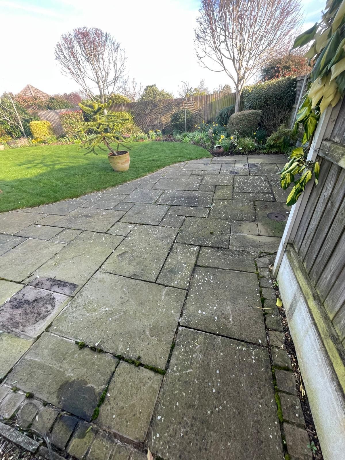 A stone patio with green mossy growth transitions into a grassy backyard garden with trees under a bright, clear sky.