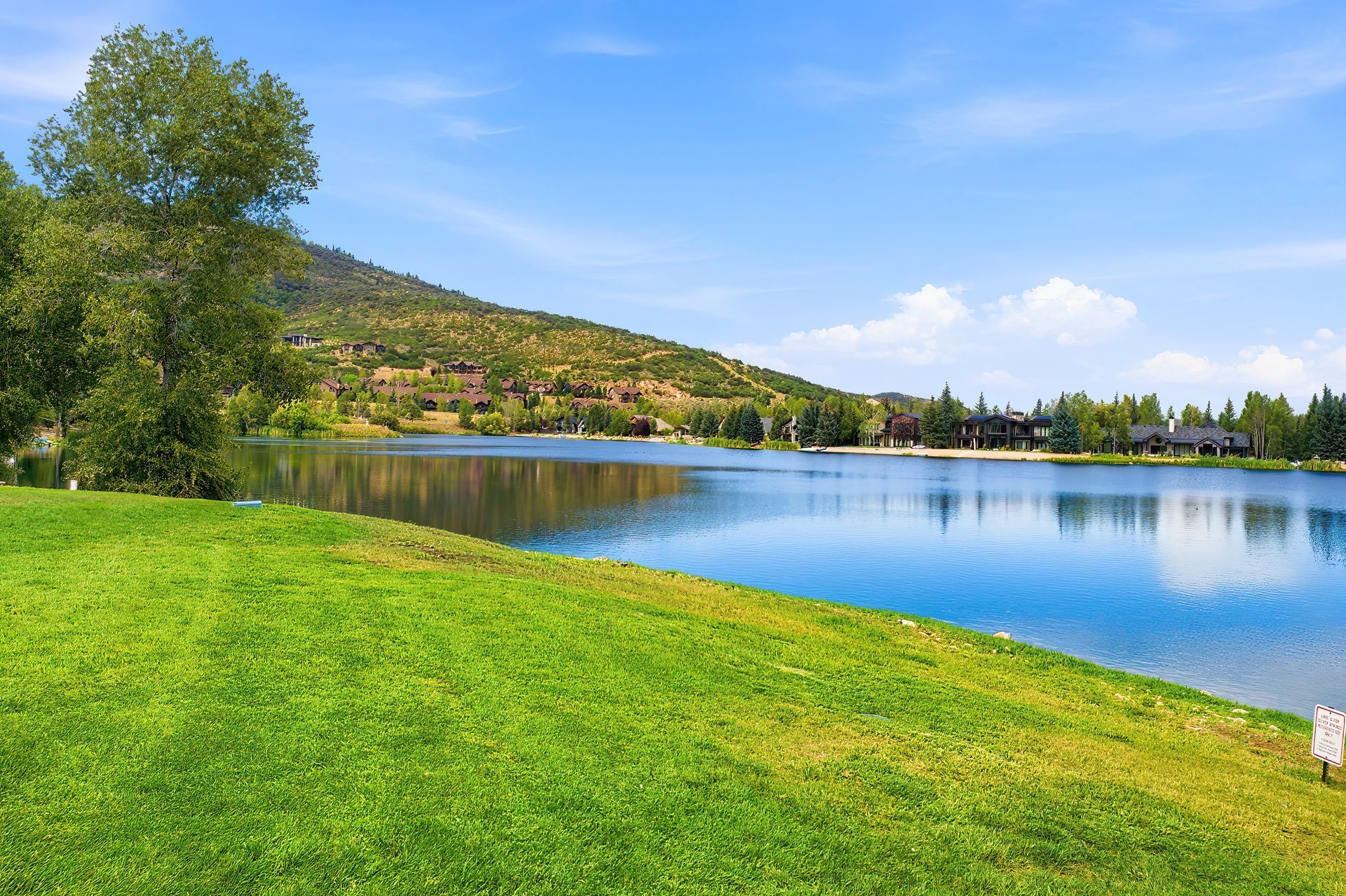 Bright green lakeside shore with a calm blue lake, trees, and hills under a clear sky