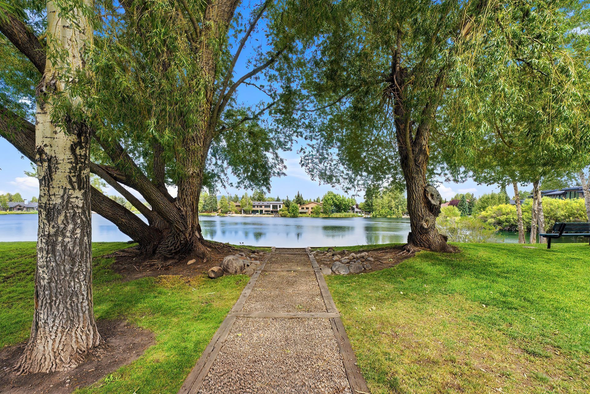 Tree-lined park path leading to a calm lake on a sunny day