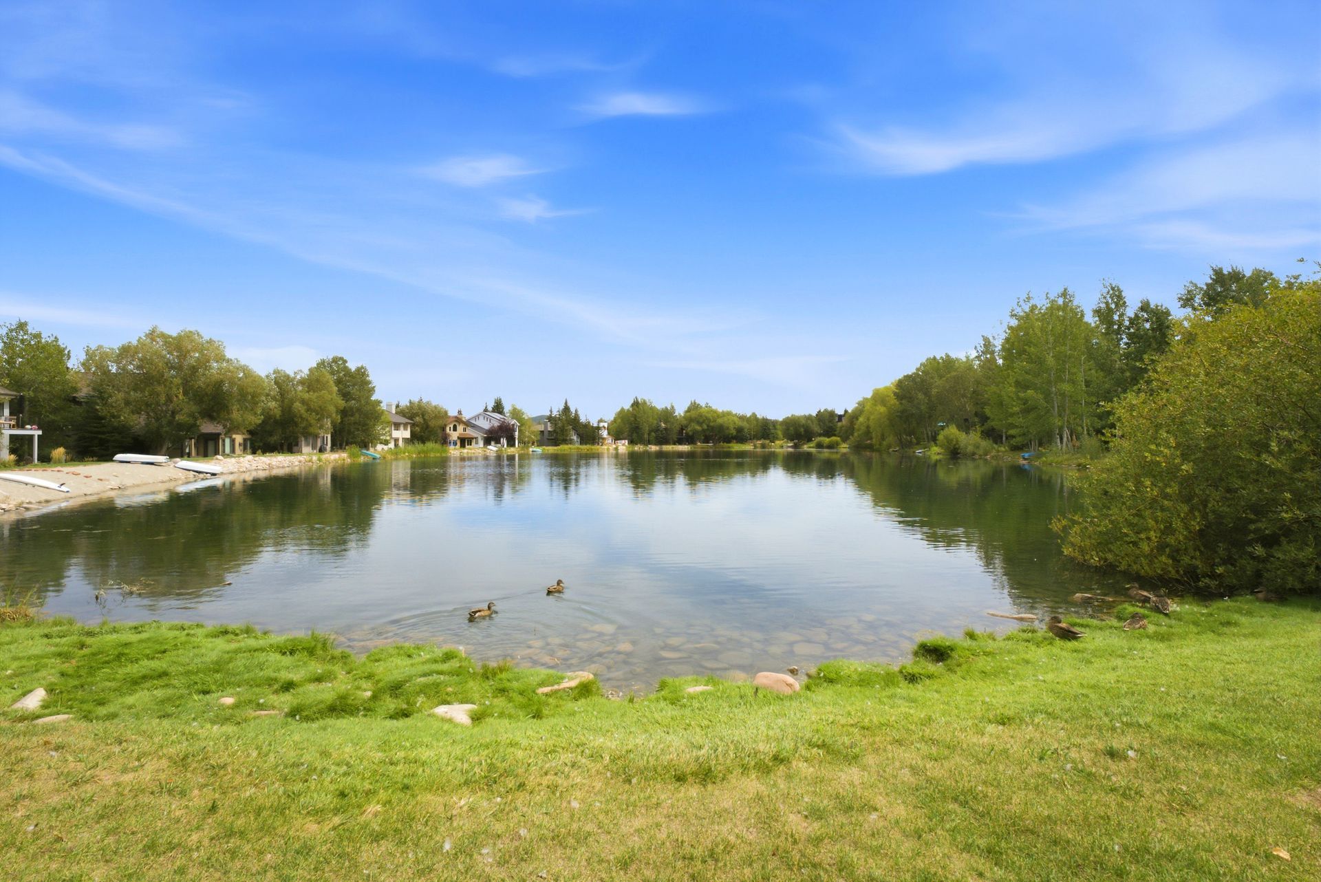 Serene lake reflecting blue sky, surrounded by green trees and grassy shore.