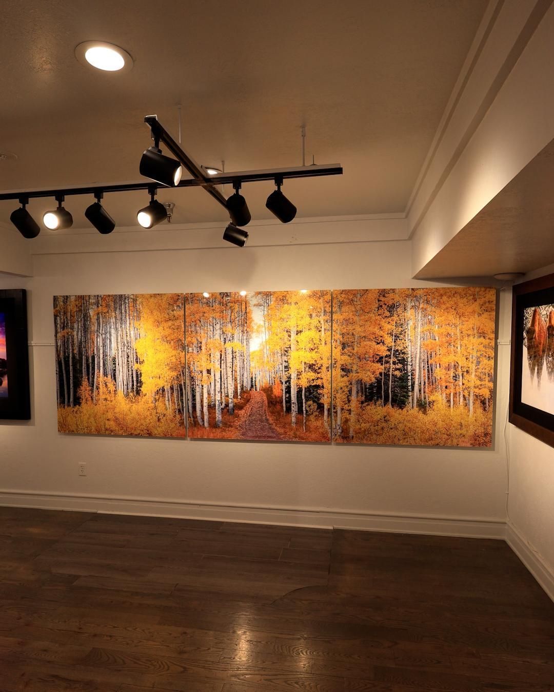 Peter Lik's 'Enchanting Grove' displayed as a three-panel acrylic triptych in an art gallery — a leaf-covered path winding through a radiant golden aspen forest near Park City, Utah.