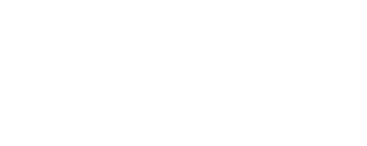 Charleston Roofs and Windows logo
