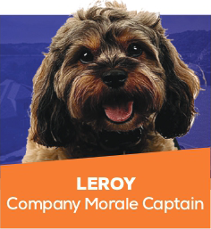 Brown dog portrait with text “Leroy, Company Morale Captain” on an orange banner