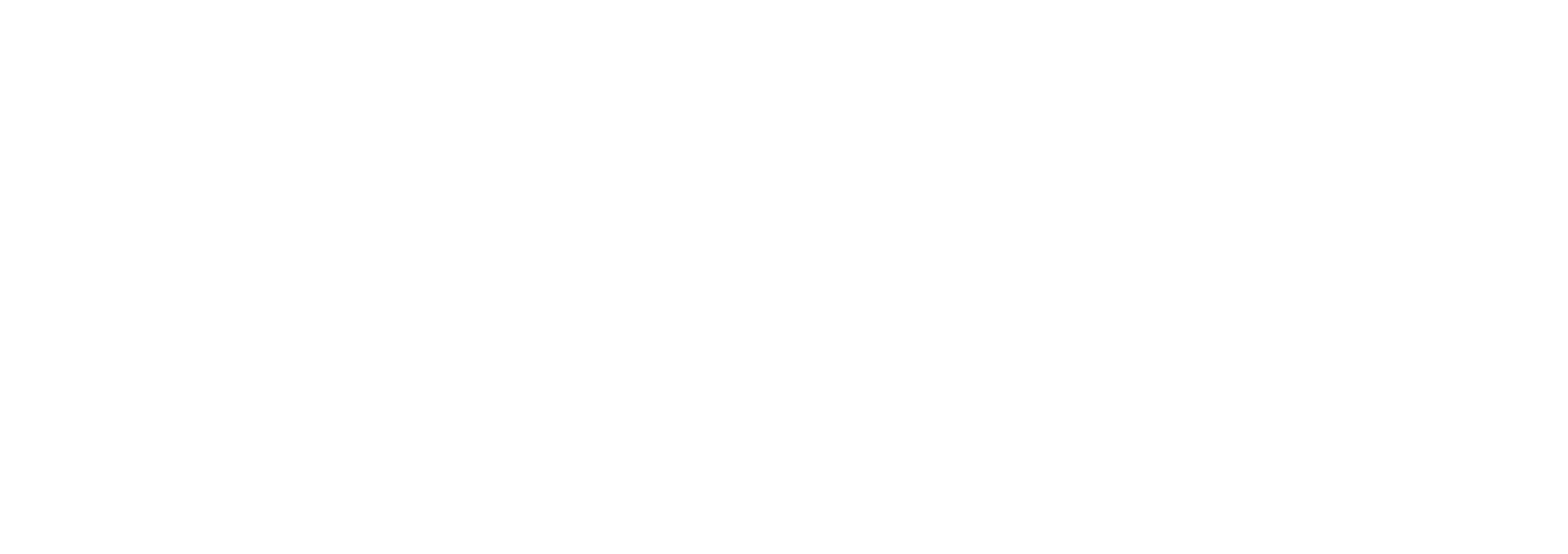 White blank rectangle with a thin black outline at the top and bottom edges