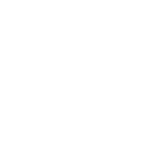 Blank white image