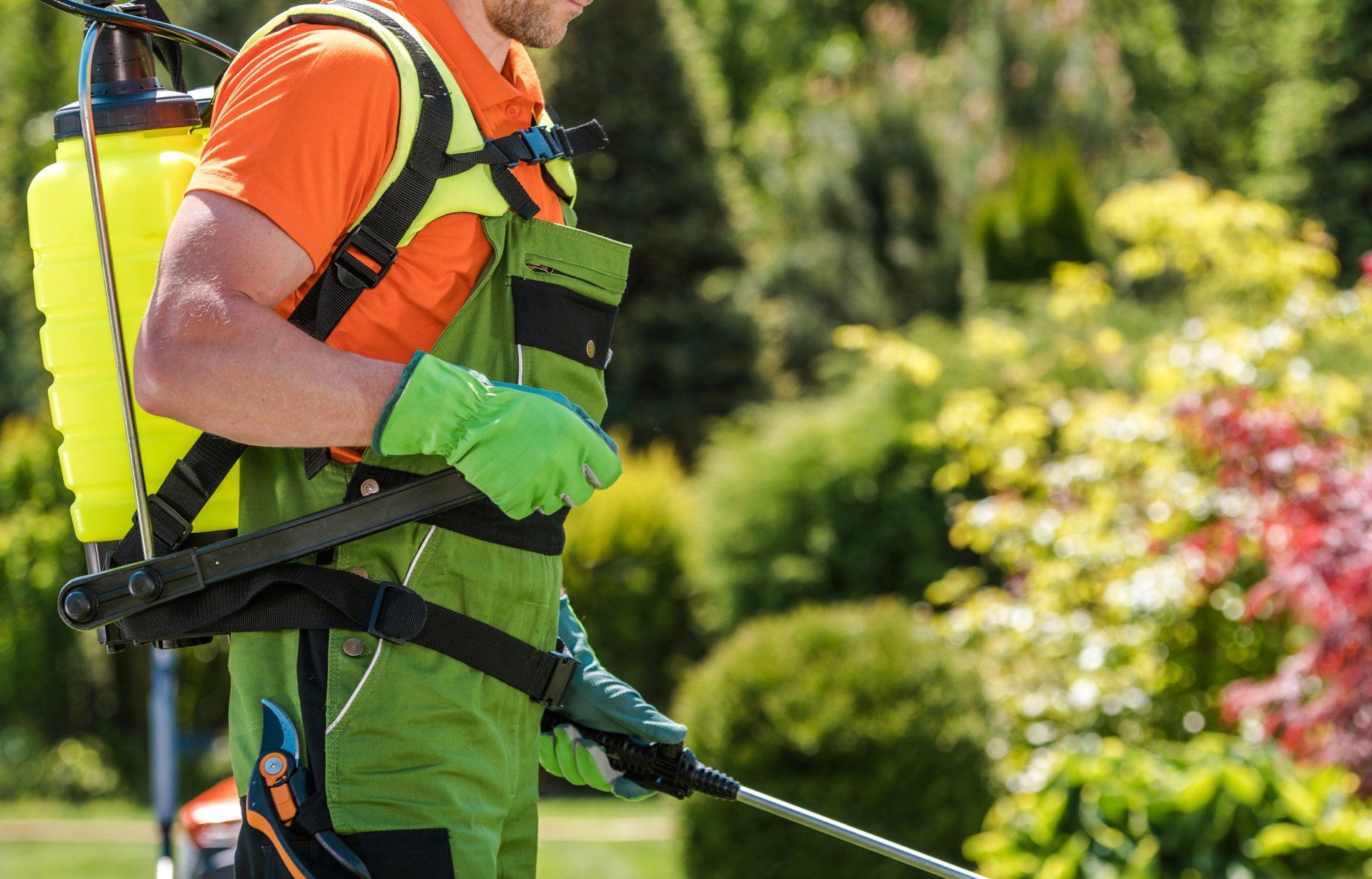 A man fertilizing the plants