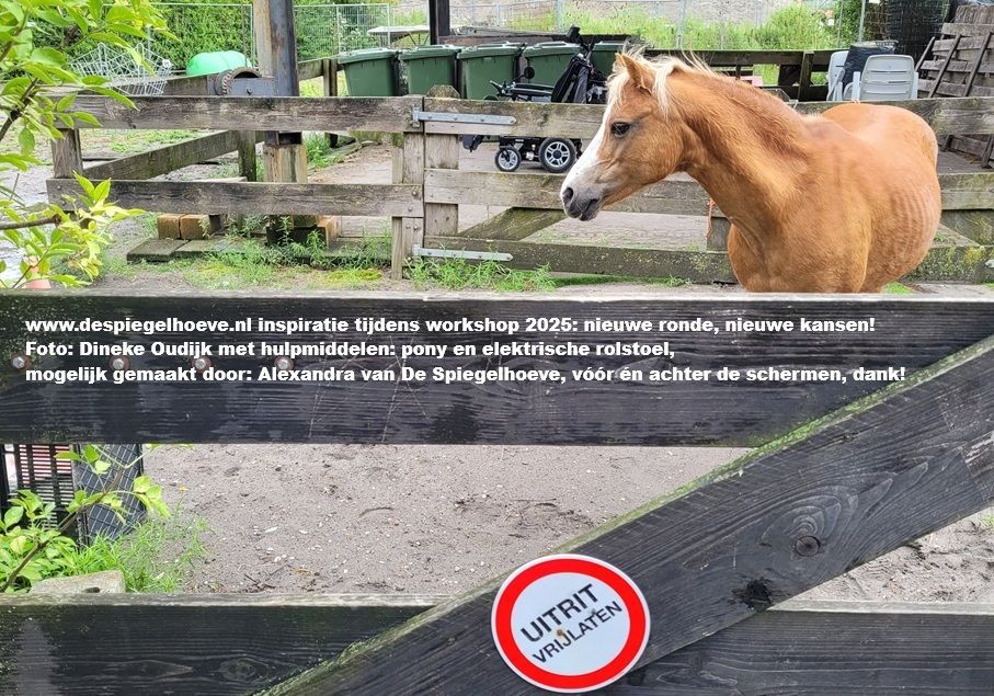 Gewenst Eigen Initiatief