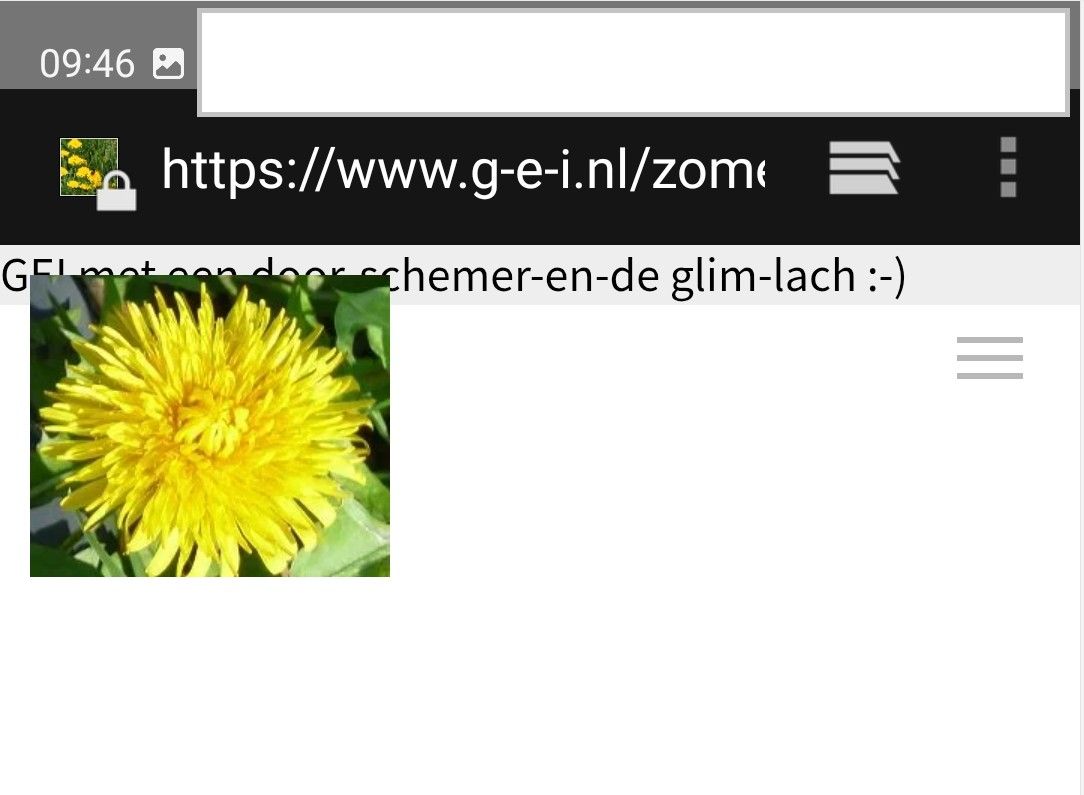 www.g-e-i.nl