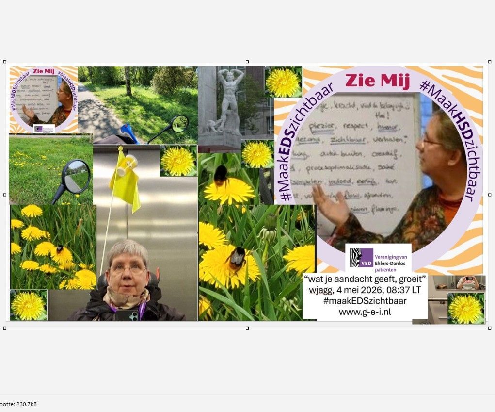 www.g-e-i.nl