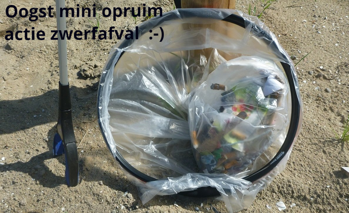 Gewenst Eigen Initiatief