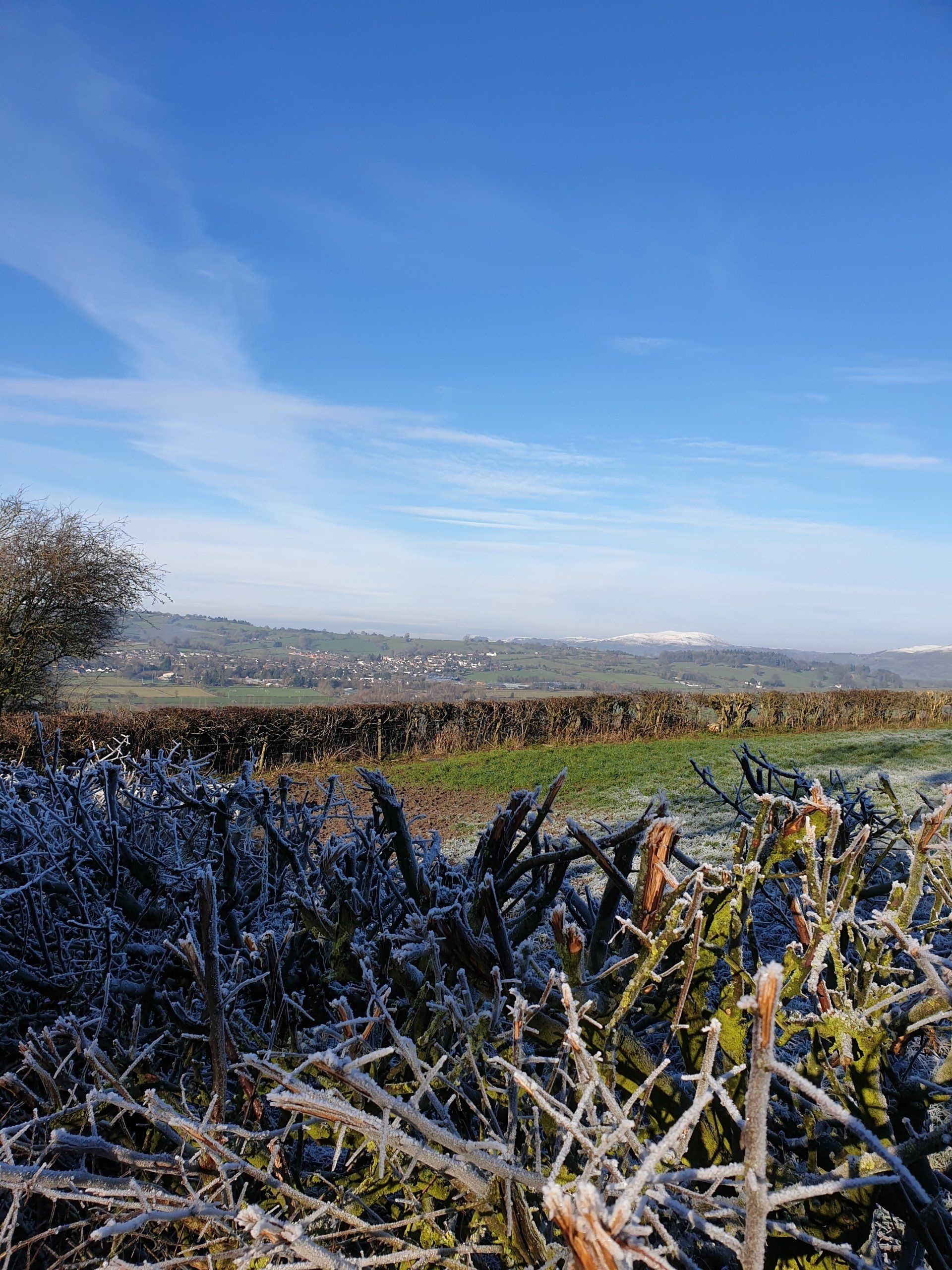 Frost-covered bushes in the foreground, with fields, stone walls, and distant town under a blue sky.