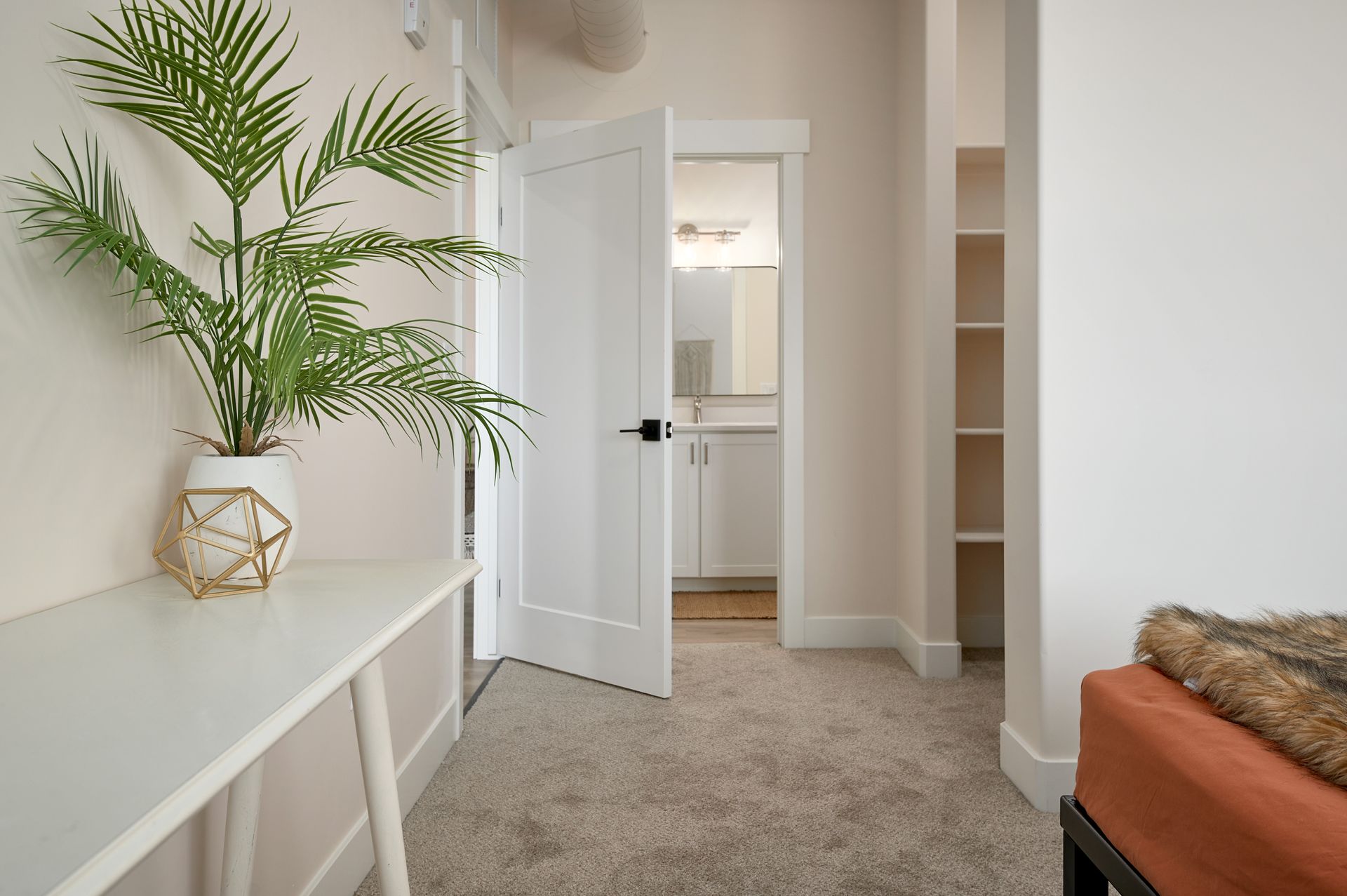 Bright minimalist hallway with potted palm, open door, built-in shelves, and carpeted floor